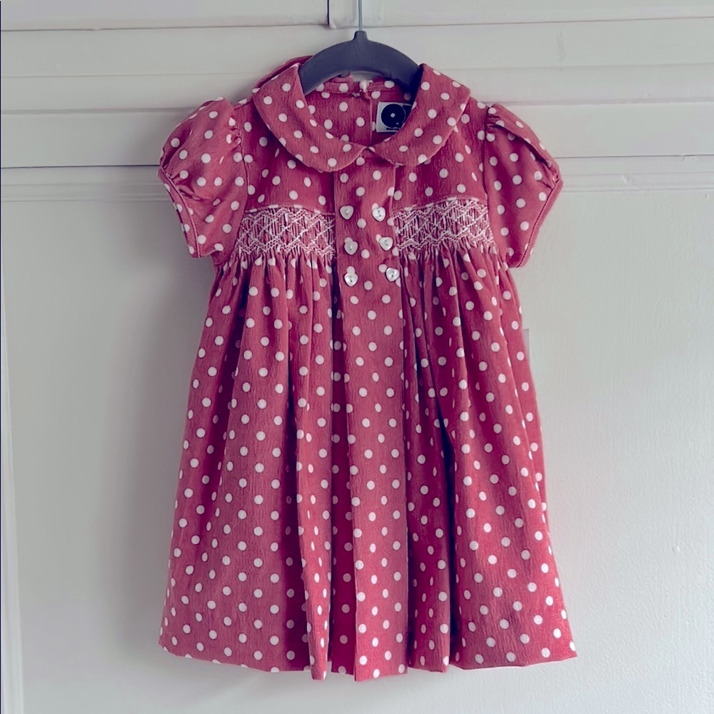Question Everything Pink Polka Dot corduroy smocked Dress with matching bloomers